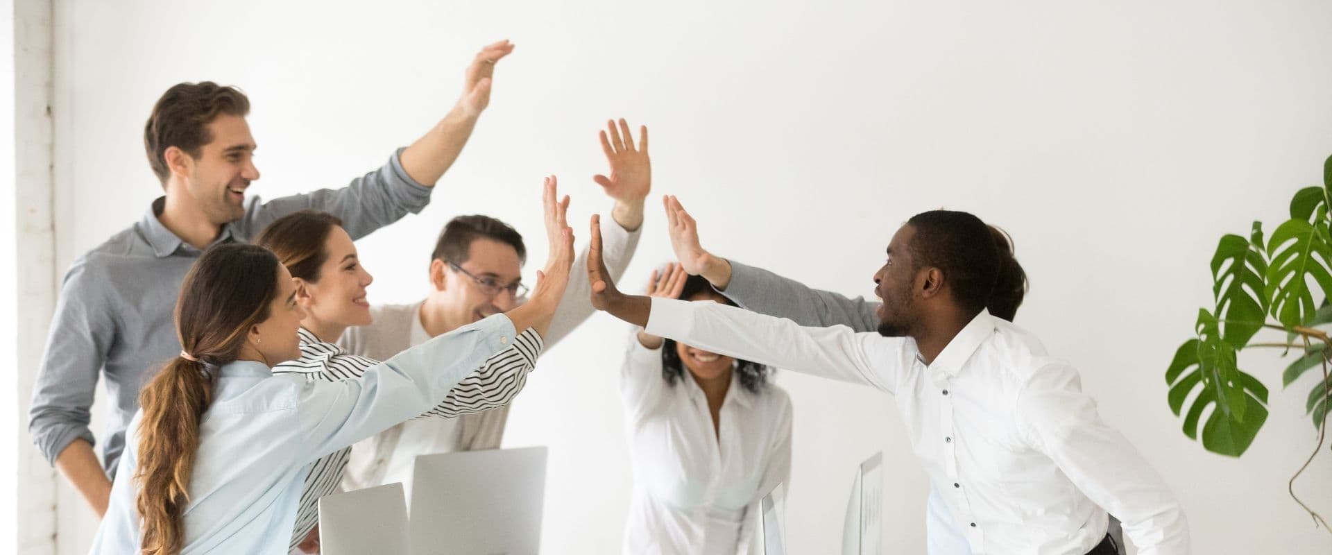 Team celebrating successful deployment